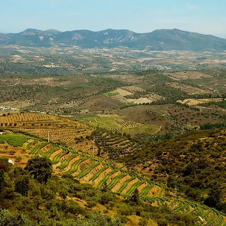 Casa Dos Lagares De Vara E Pedra Vila Flor