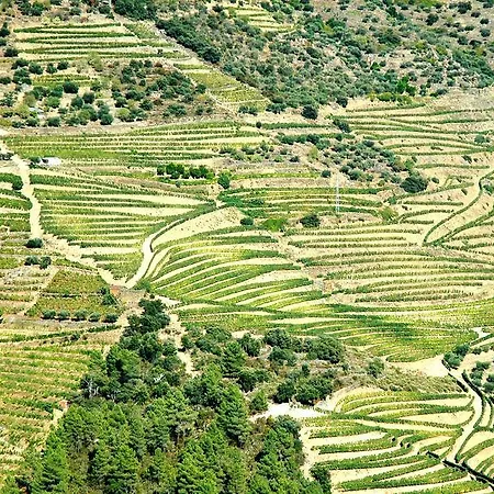 Séjour à la campagne Casa Dos Lagares De Vara E Pedra *