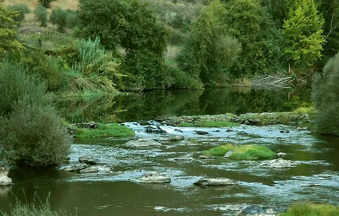 Casa Dos Lagares De Vara E Pedra * Vila Flor