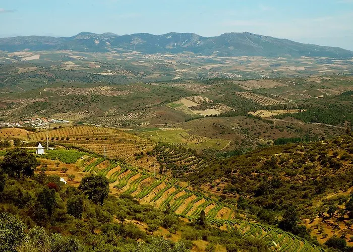 Casa Dos Lagares De Vara E Pedra Vila Flor