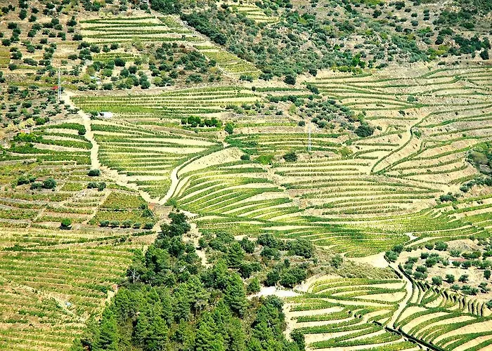 Gospodarstwo wiejskie Casa Dos Lagares De Vara E Pedra *